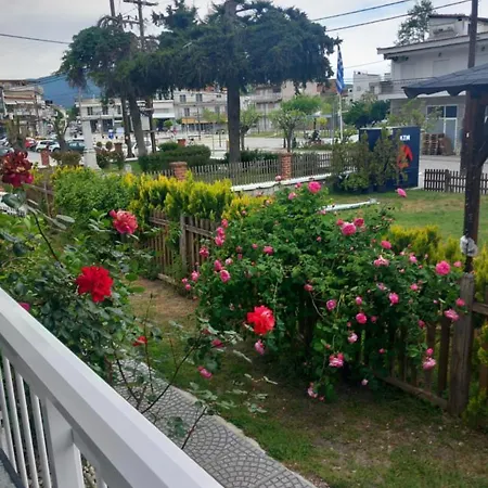 Melirito Daire Olympiada